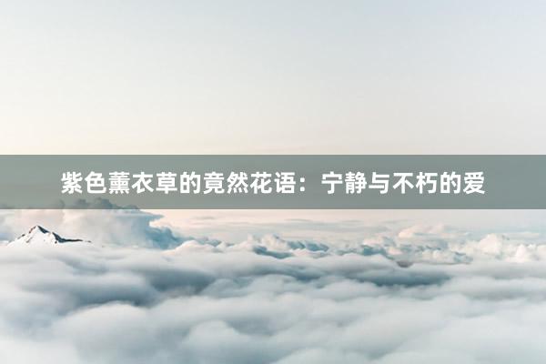 紫色薰衣草的竟然花语：宁静与不朽的爱